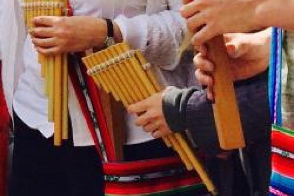 Andean instruments