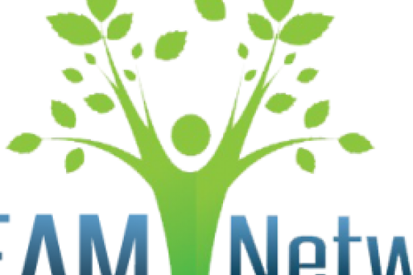 Dream Network Logo