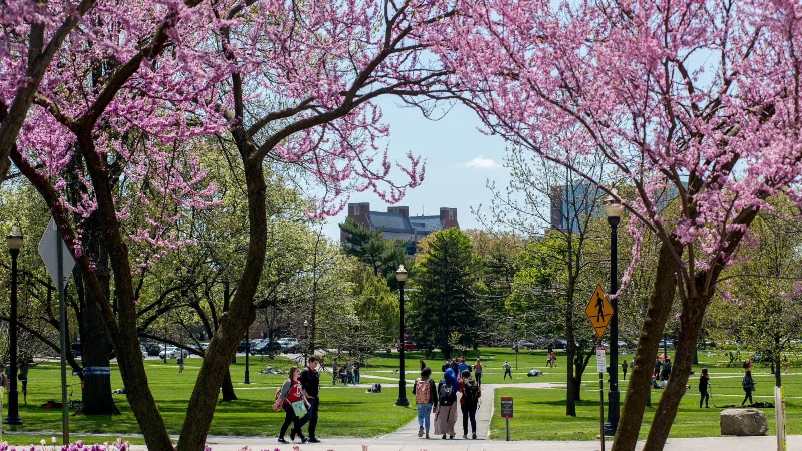 Ohio state oval in spring