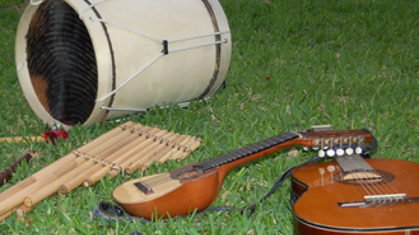 Andean Instruments