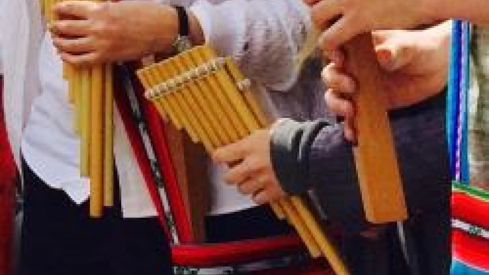 Andean instruments