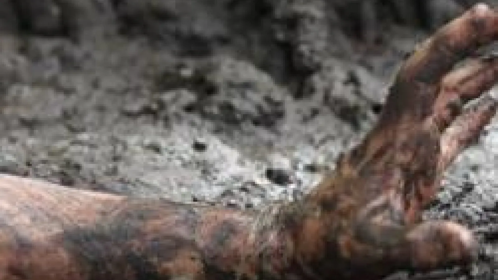 Hand in mud