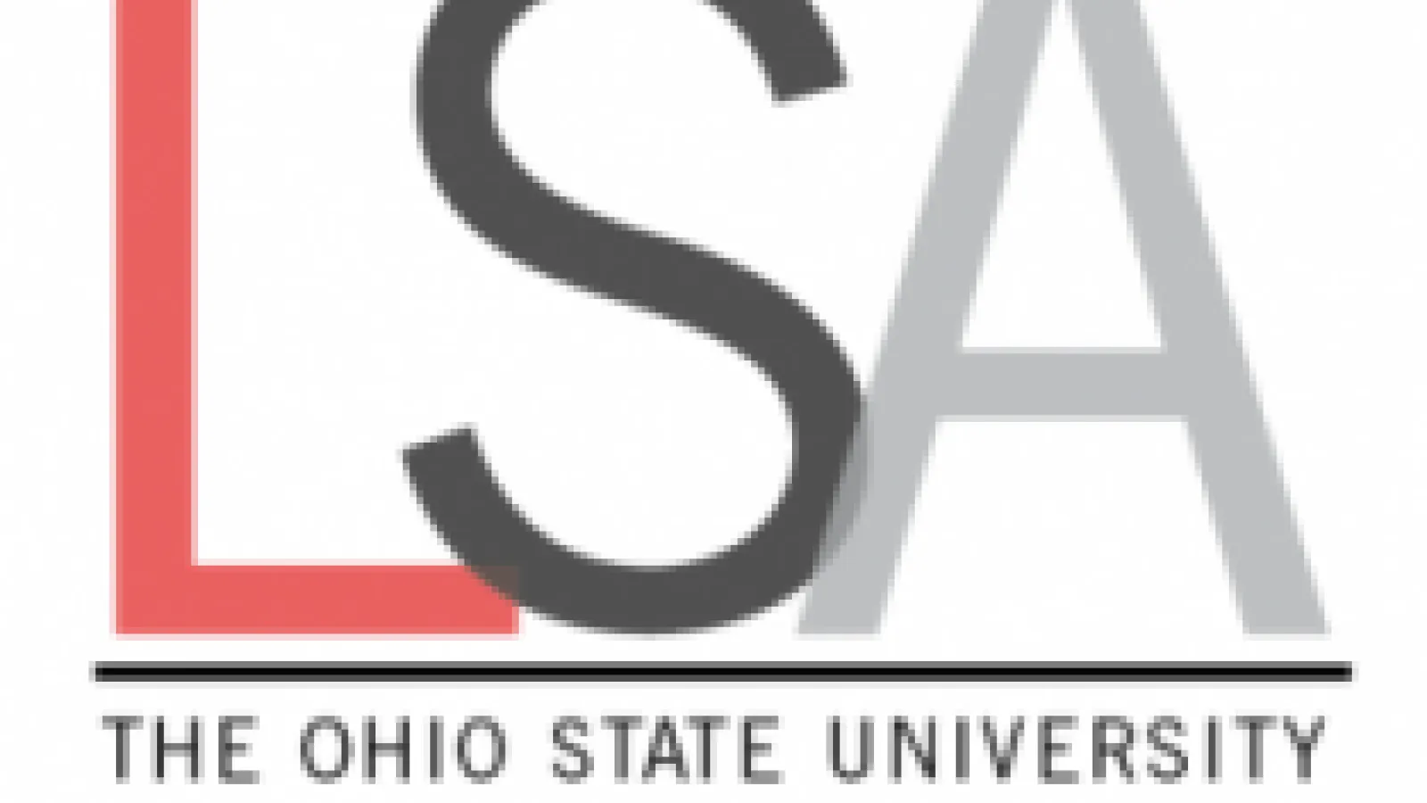 LSA logo