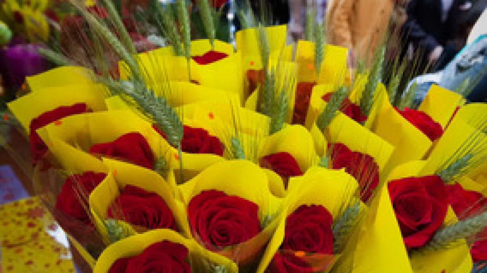Diada the Sant Jordi (Saint George's Day) Roses i Llibres