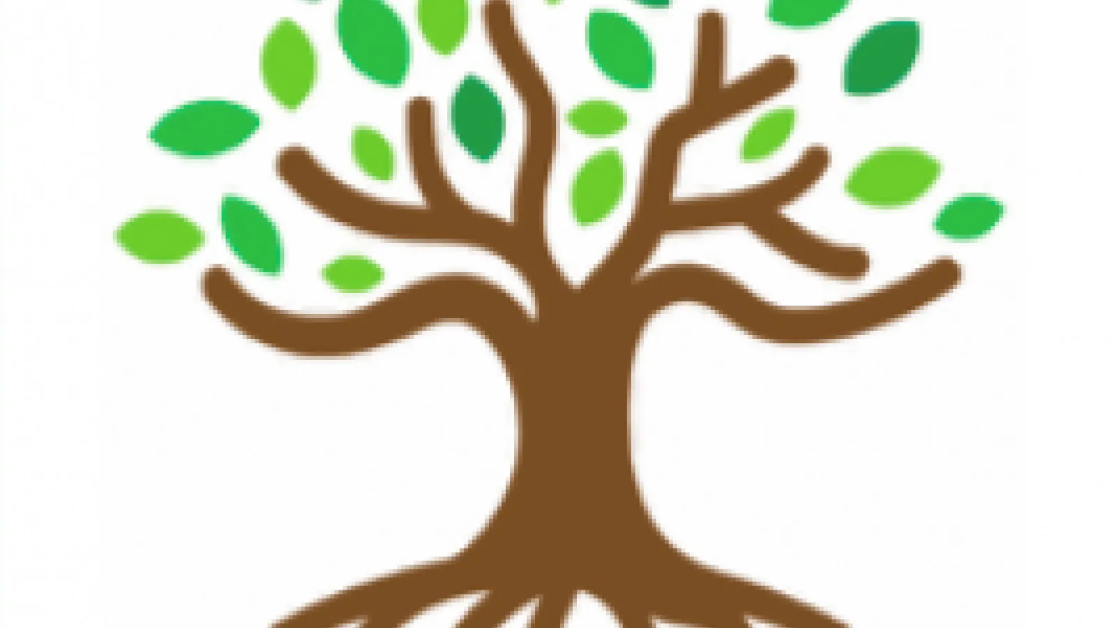 SLR Forum Logo 