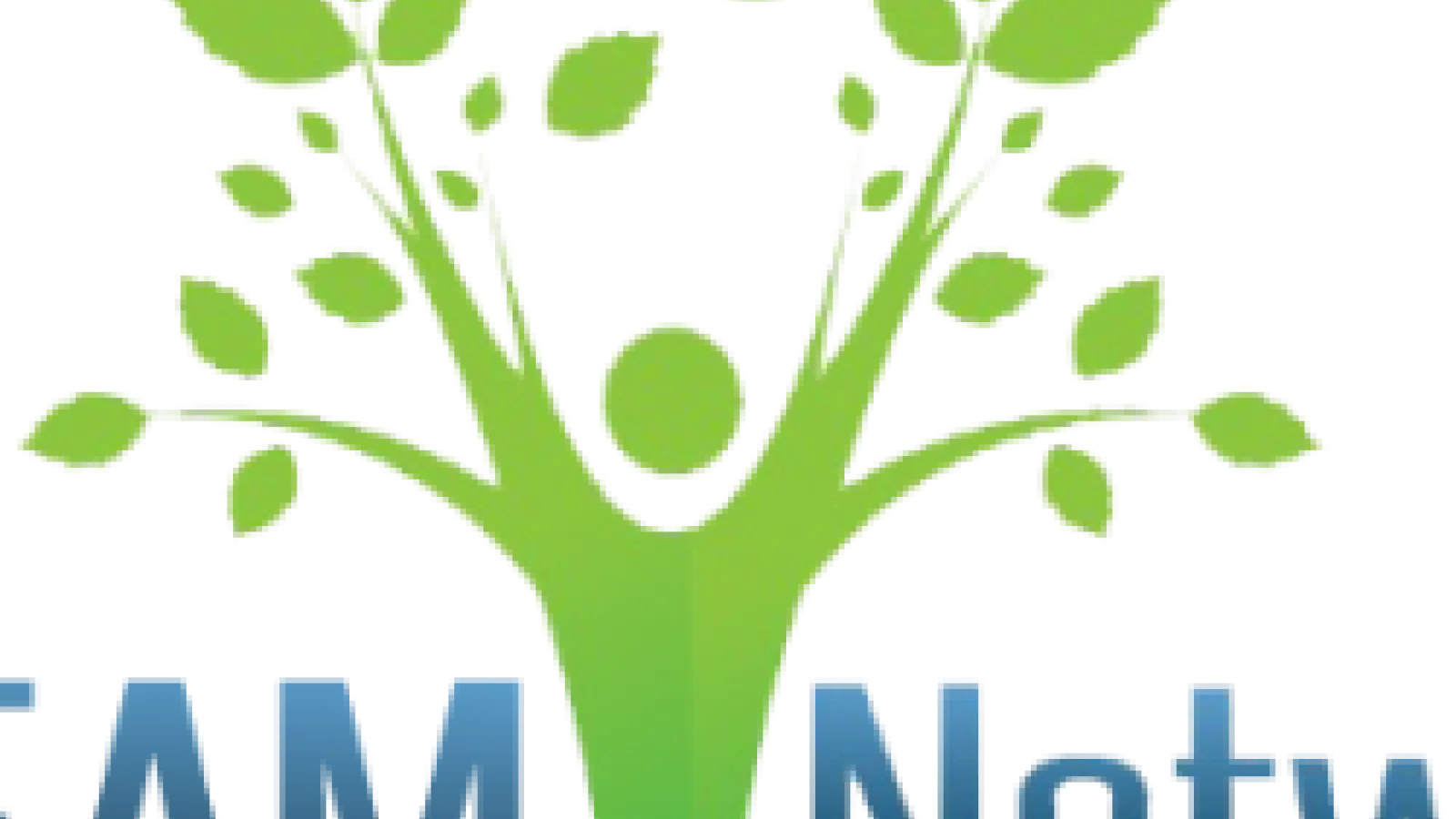The dream network logo