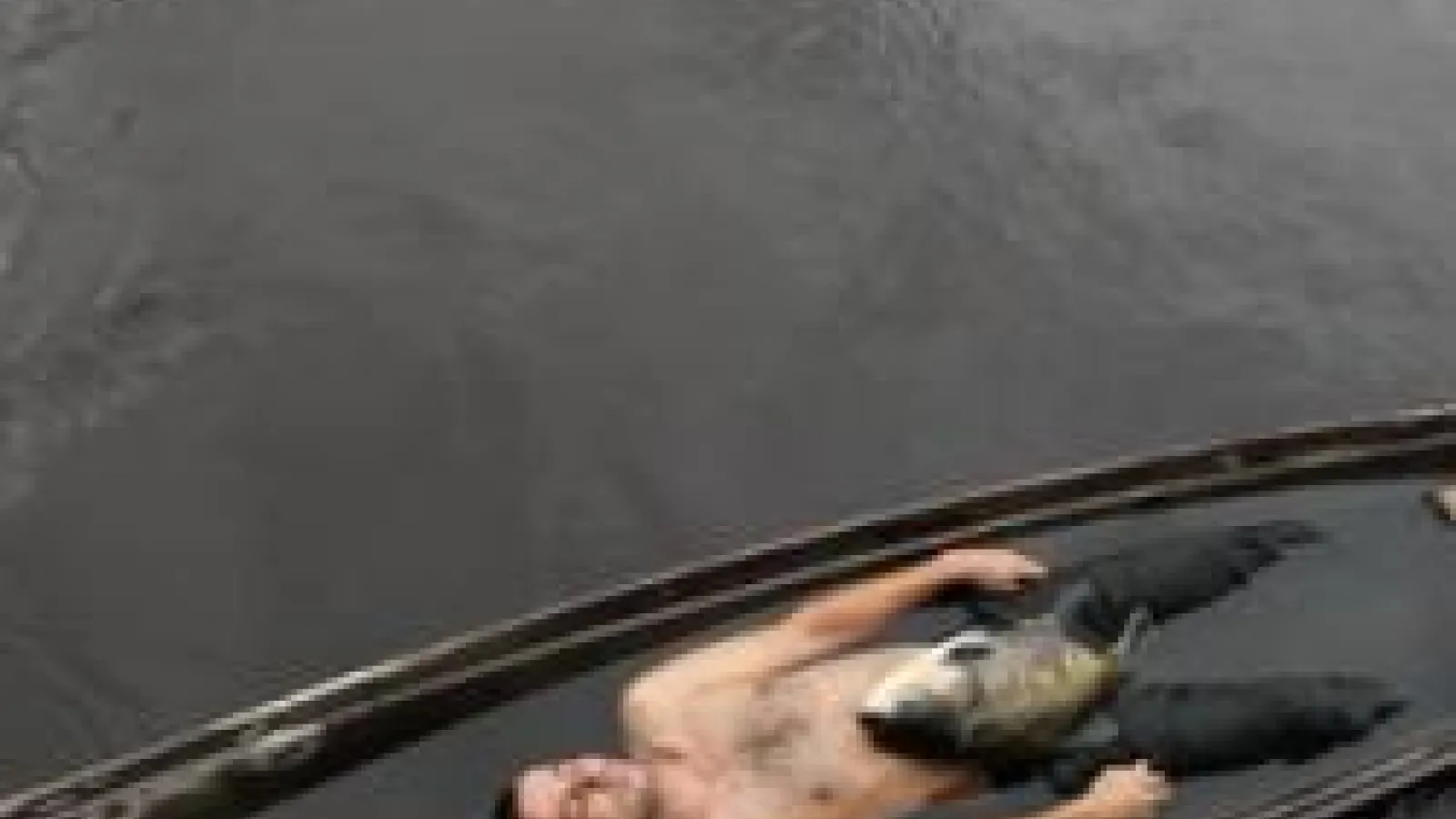 tonus canoa