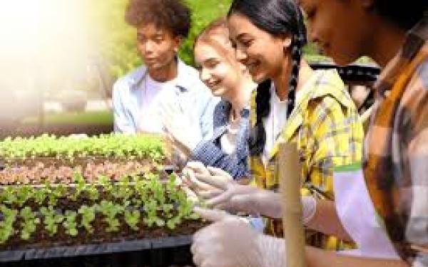 Students in greenhouse