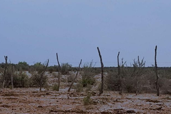 Border wall between Mexico and the United States