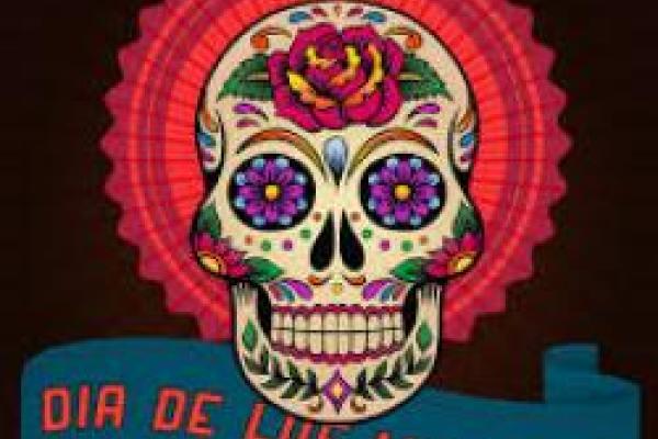 colorful DOD skull