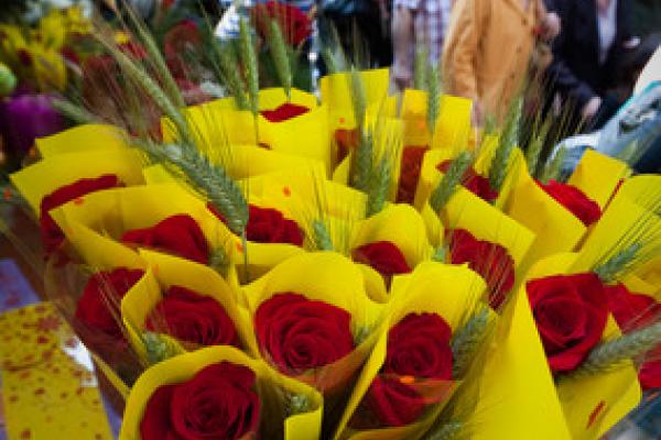 Diada the Sant Jordi (Saint George's Day) Roses i Llibres Diada the Sant Jordi (Saint George's Day) Roses i Llibres