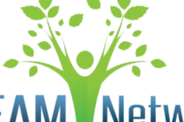 The dream network logo