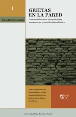 Grietas En La Pared